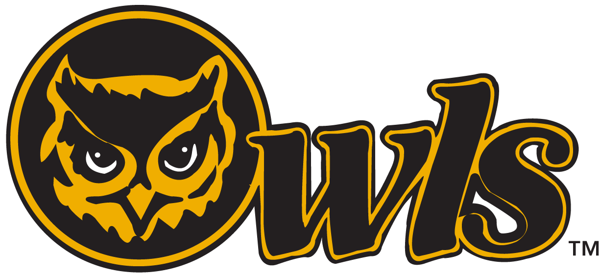 Kennesaw State Owls 0-2011 Secondary Logo v2 iron on transfers for clothing